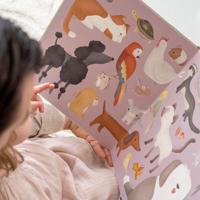 Kinderbuch Mein erstes Tierbuch 