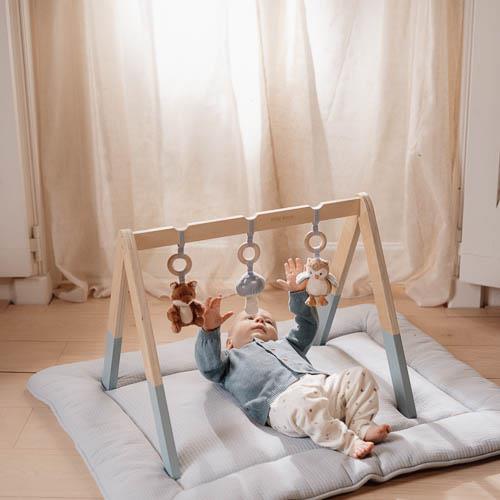 Babygym - Blau - Forest Friends 