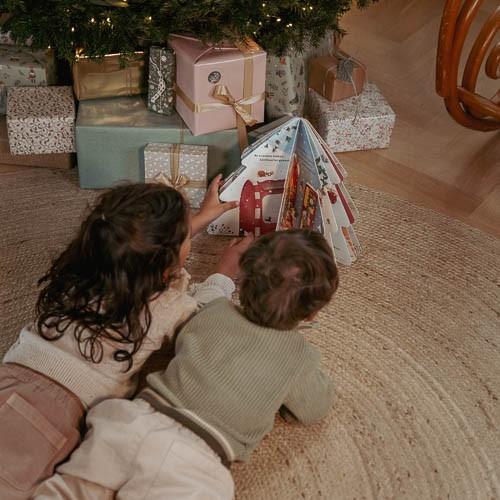 Christmas Book: Almost Christmas! 