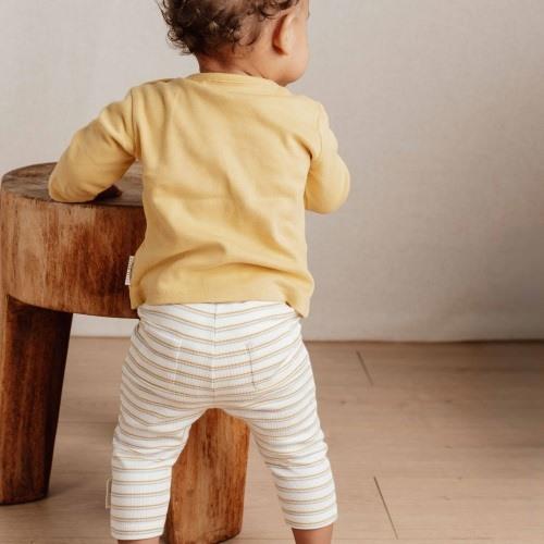 Pantalon - Multicolore - Little Farm - Rayure