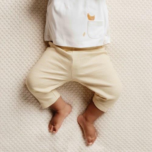Legging - Jaune - Little Farm