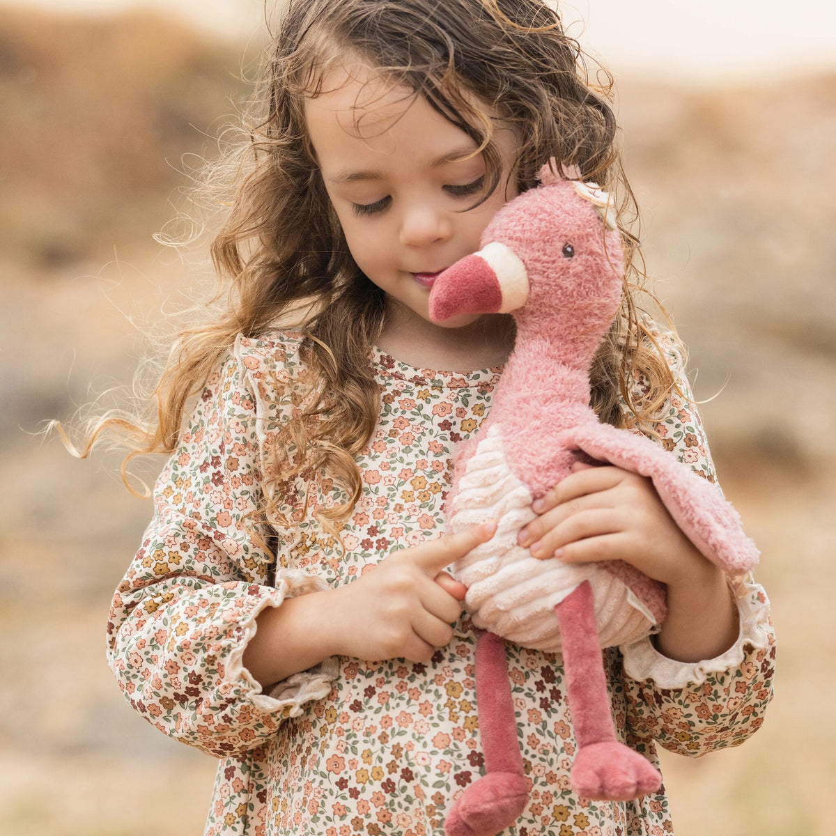 Flora the flamingo and her friends