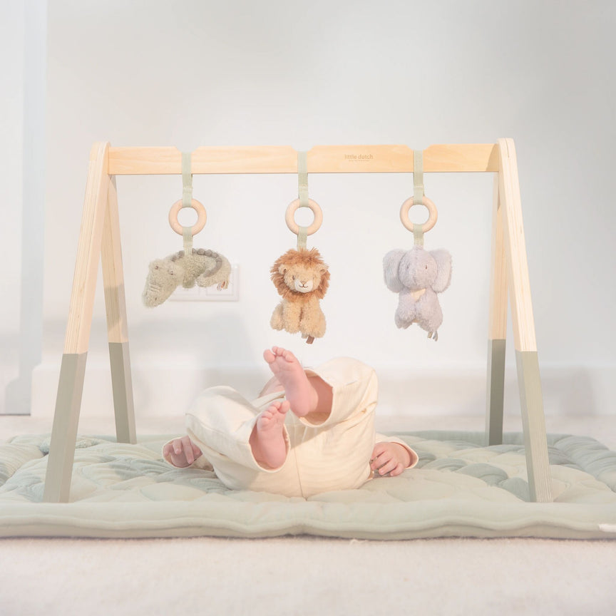 Babygym