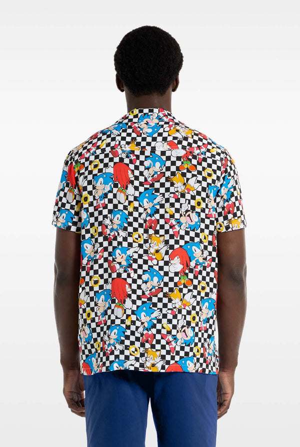 Person wearing a colorful patterned Sonic shirt with a checkered design on a white background. View from the back