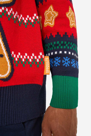 Close-up of a colorful Christmas-themed sweater with patterned sleeves.