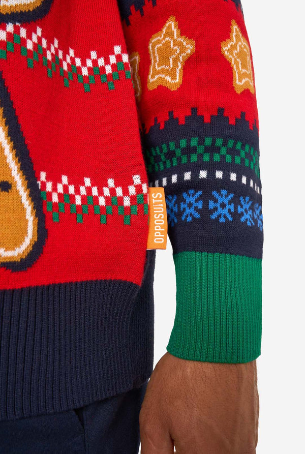 Close-up of a colorful Christmas-themed sweater with patterned sleeves.
