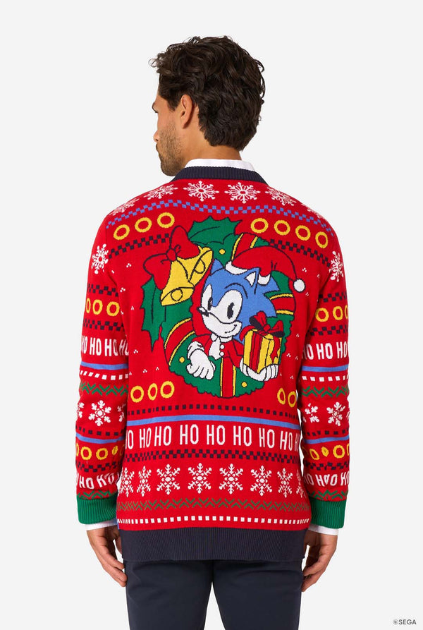 Person wearing a festive sweater with Sonic character and Christmas-themed design. View from the back