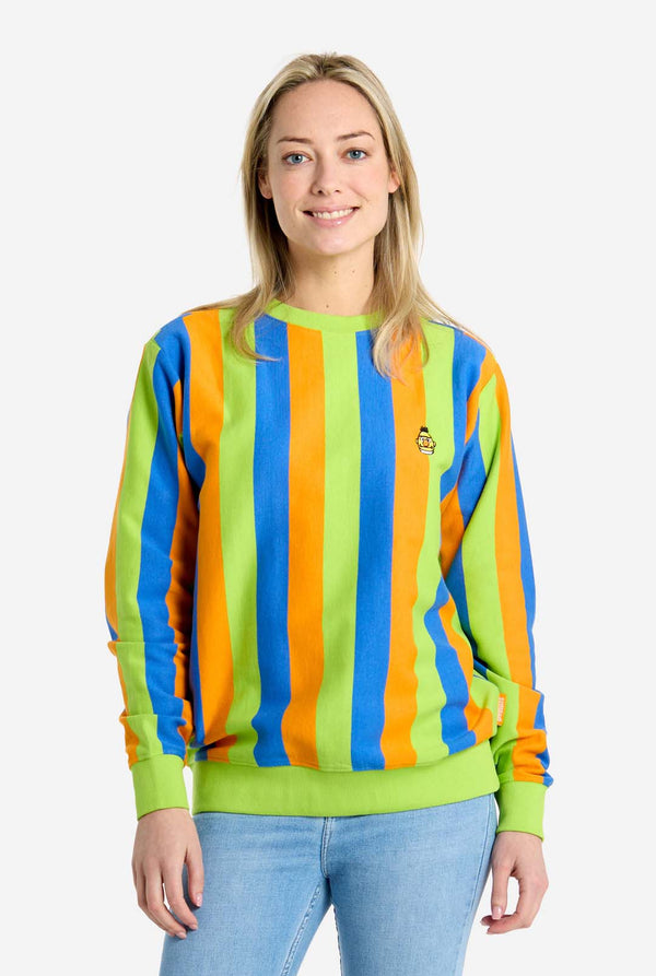 Person wearing a colorful striped Bert sweater with a plain background