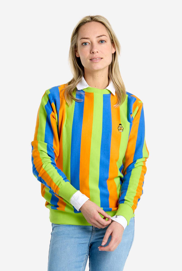 Person wearing a colorful striped Bert sweater with a plain background